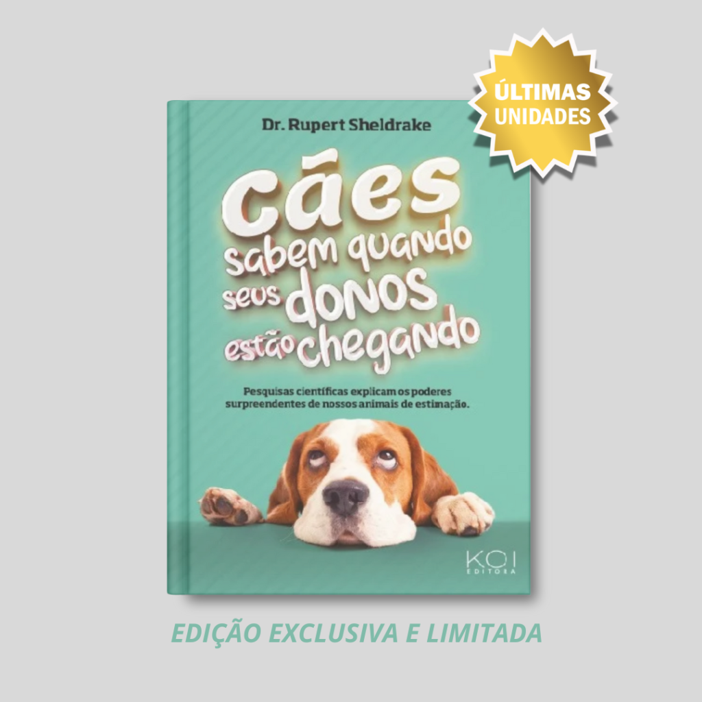 Cães sabem quando seus donos estão chegando - Capa Dura